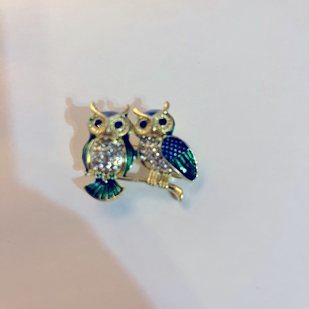 Beautiful Owl Pin